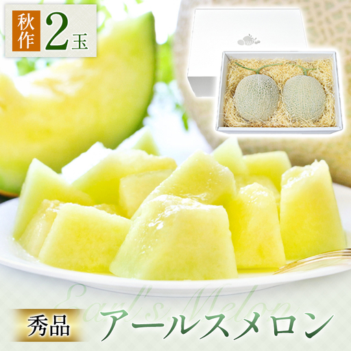 B-14 アールスメロン　秀品　2玉【秋作】