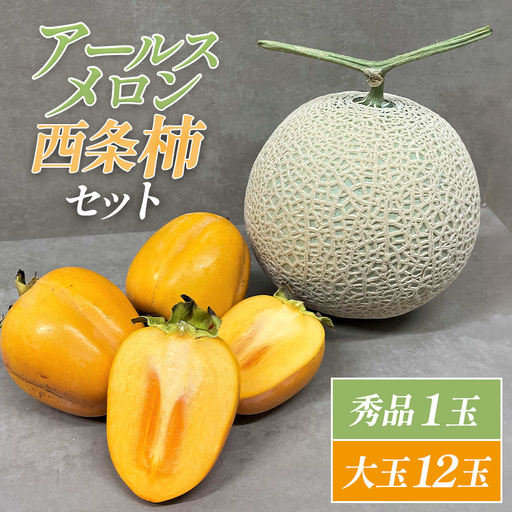 B-643 糖度14度以上のアールスメロン秀品1玉と大玉西条柿12玉のセット