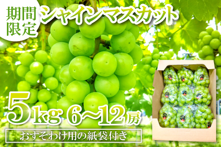 D-524 甘くて美味しい シャインマスカット 5kg（6?12房）