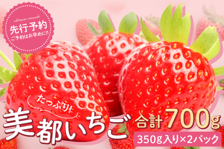 美都いちご(350g×2パック)