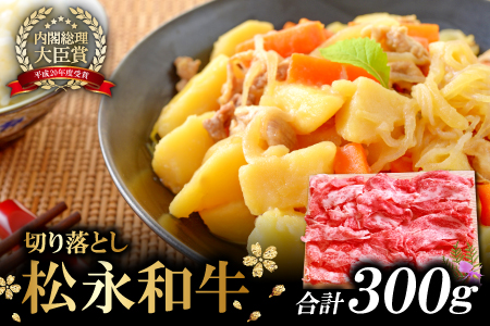 松永和牛 切り落とし300g