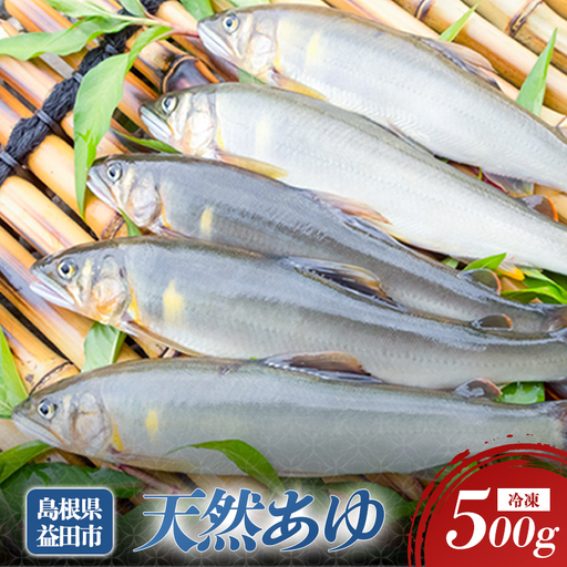 A-496 水質日本一常連の清流　高津川　天然あゆ　500g