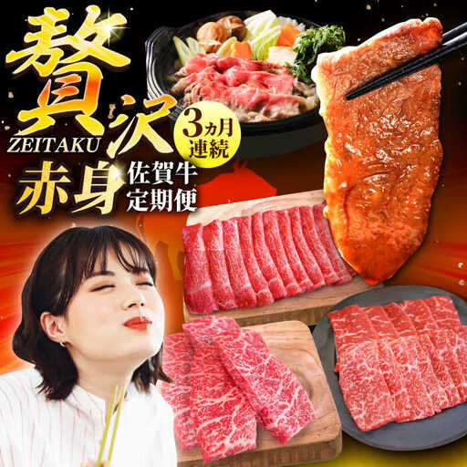 [3回定期便]贅沢!佐賀牛赤身 定期便 / 赤身 