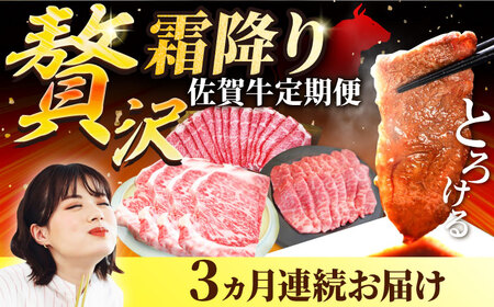 [3回定期便]佐賀牛 贅沢 霜降り 定期便 / 牛肉 