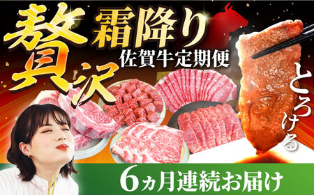 【6回定期便】佐賀牛 贅沢 霜降り 定期便 / 牛肉 [IAH087]
