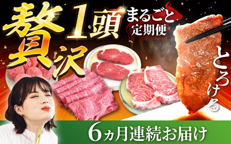 [6回定期便]佐賀牛 贅沢 1頭まるごと定期便/ シルバーコース 牛肉 
