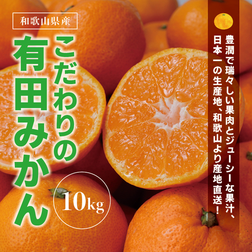 みかん 有田みかん 約10kg 大玉3L以上【nuk139F】 