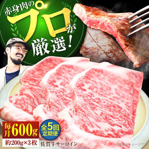 【5回定期便】佐賀牛 サーロインステーキ 600g / ステーキ  [IAH165]