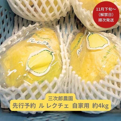 先行予約 ル レクチエ 自家用 約4kg(8~12個) [11月下旬から発送予定] 洋梨 (ル レクチエ) 新潟県三条市産 ル・レクチェ [三次郎農園] 