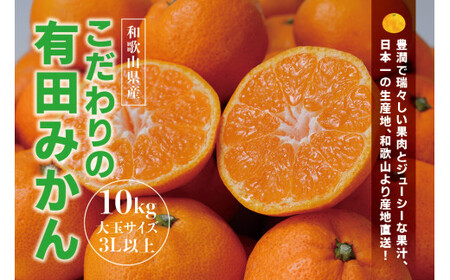 [農家直送]有田みかん 約10kg 大玉3L以上[nuk139F]