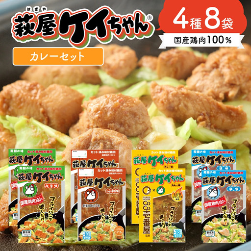 萩屋ケイちゃんスタンダードカレーセット　みそ味・カレー味・しょうゆ味・しお味（各230g×2）計8パック 冷凍配送 けいちゃん 鶏ちゃん【10-7】
