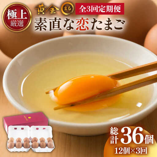 [全3回定期便]「極上」素直な恋たまご・黄金〇(kogane・maru) 卵 たまご 鶏卵 贈答 定期便 12個 36個 [JAA004] 24000 24000円