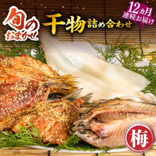 【全12回定期便】 旬の干物 おまかせ詰め合わせ《梅》（アジ・イワシ・イカなど）[JDR011]