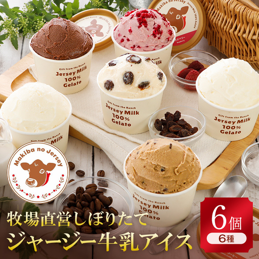【ジャージー牛乳使用】まきばのジャージーアイス人気の大人セット6個入り F21C-034