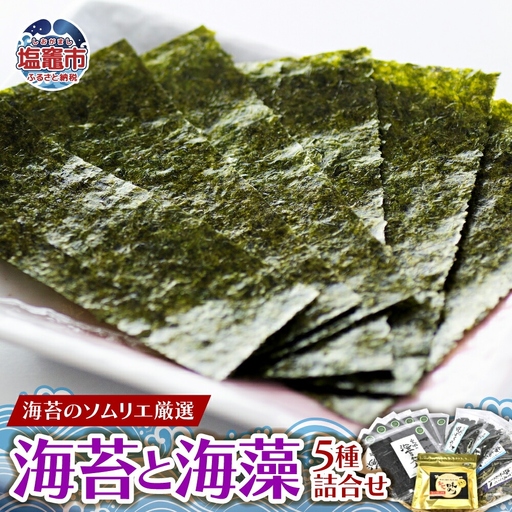 海苔 のソムリエ厳選の海苔海藻5種詰合せ【r6-5369993】 海苔 海苔 海苔
