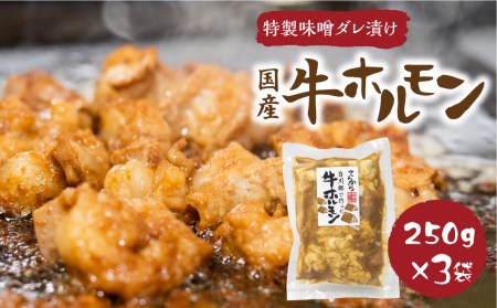 白川郷 自家製 牛ホルモン 250g×3袋セット 牛肉 国産牛ホルモン 味付け肉 味噌味 焼肉店 オリジナル 簡単 おつまみ 冷凍 味付き 白川村 てんから アウトドア BBQ 11000円 [S289]