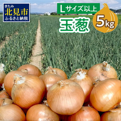 [予約:2026年11月から順次発送]玉葱 5kg Lサイズ以上 ( たまねぎ 玉ねぎ タマネギ 5キロ 野菜 北海道産 ふるさと納税 玉ねぎ生産量日本一 北見市 )[148-0002-2026]