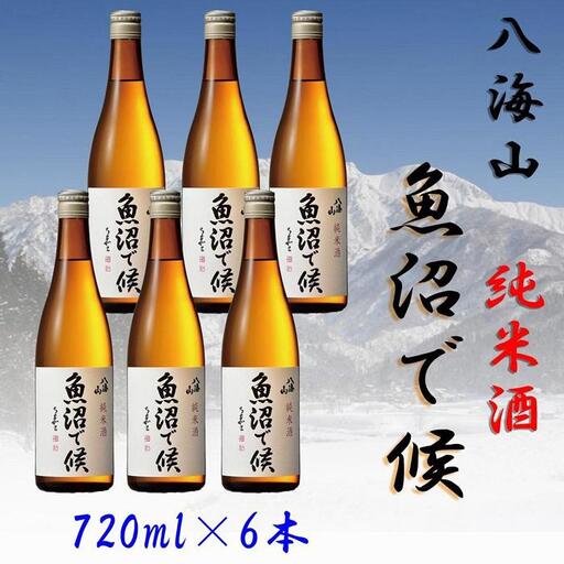 【魚沼地域限定】純米酒 八海山「魚沼で候」720ml×6本 | 八海山