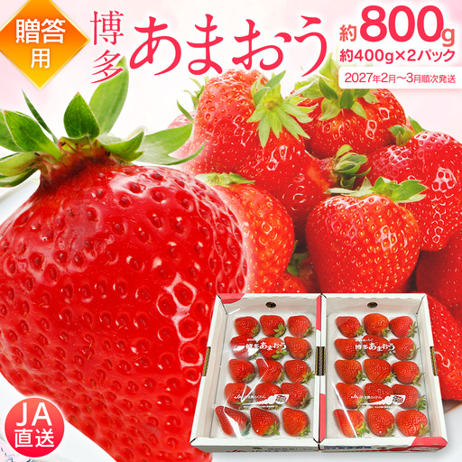先行予約いちご あまおう 合計約800g 約400g×2パック（１パックあたり、9玉～18玉）【2027年2月～3月順次発送】 いちご