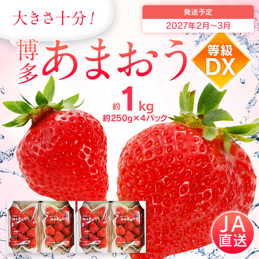 先行予約いちご あまおう 合計約1kg 約250g×4パック DX【2027年2月～2027年3月順次発送】 いちご
