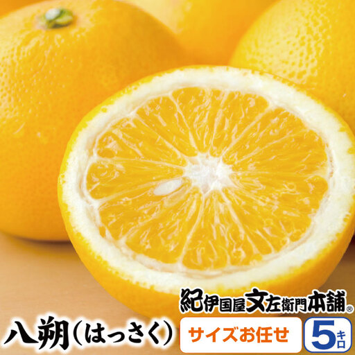 八朔(はっさく)約5kg サイズおまかせ 紀伊国屋文左衛門本舗※2027年1月下旬〜4月上旬頃発送予定[sutb410B]