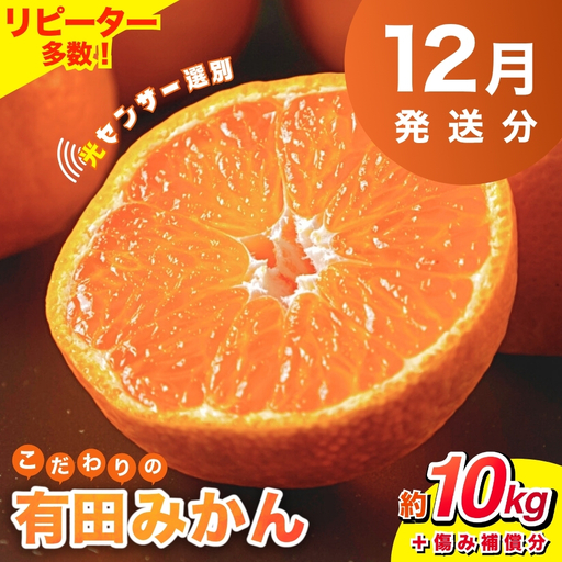【2026年12月発送予約分】【家庭用】こだわりの有田みかん 約10kg＋250g(傷み補償分) ※北海道・沖縄・離島配送不可【nuk101-12C】