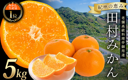 高級ブランド 田村みかん 5kg[予約]※2026年11月下旬頃-2027年1月下旬頃に順次発送予定(お届け日指定不可)/ミカン 有田みかん ブランドみかん 柑橘 果物 フルーツ 旬 先行 みかん みかん みかん 予約[uot504B]