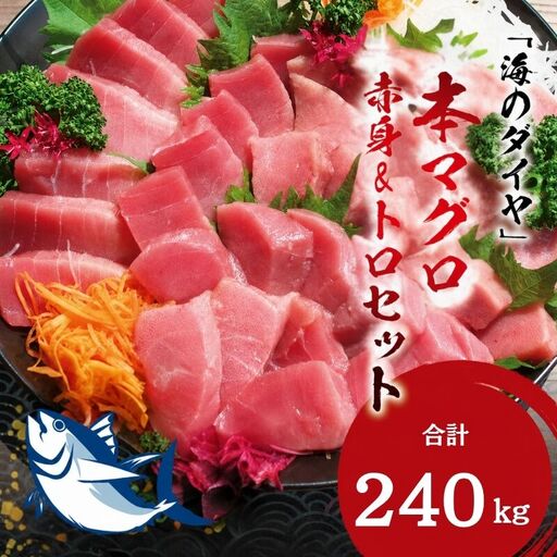 本マグロ（養殖）トロ＆赤身セット 240g 【１ヶ月以内に順次発送】/ 高級 クロマグロ  中トロ 中とろ  まぐろ マグロ 鮪 刺身 赤身 柵 じゃばらまぐろ 本マグロ 本鮪 【nks113B】