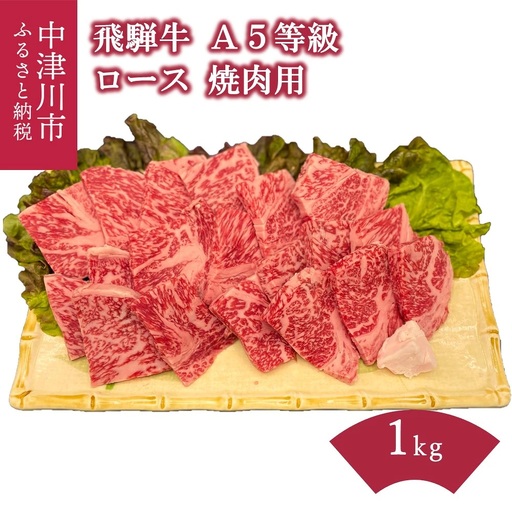 【数量限定！チルド（冷蔵）発送！】「飛騨牛」A5等級 ロース 1kg 鉄板焼き 網焼き 焼肉 バーベキュー BBQ F4N-1260