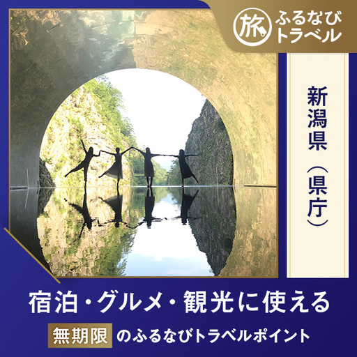 [新潟旅行・宿泊無期限]旅行ポイント新潟県ふるなびトラベルポイント
