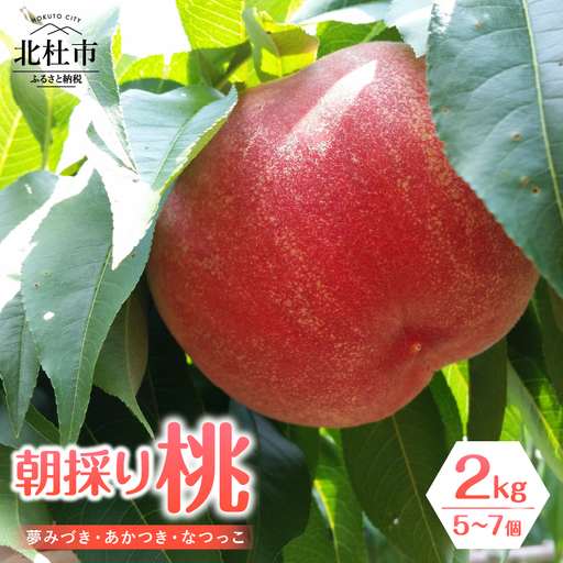 [2026年度先行予約]朝採り桃 2kg(夢みづき・あかつき・なつっこ)5〜7個 [h187]