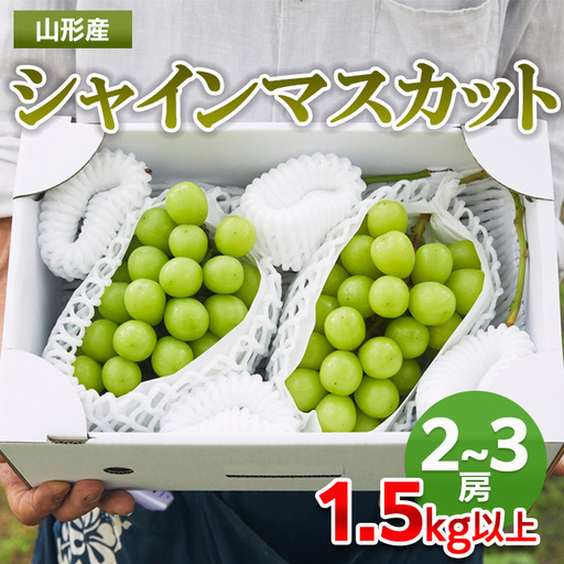 山形市産 シャインマスカット 秀1.5kg以上(2~3房)【前半】 FZ22-331