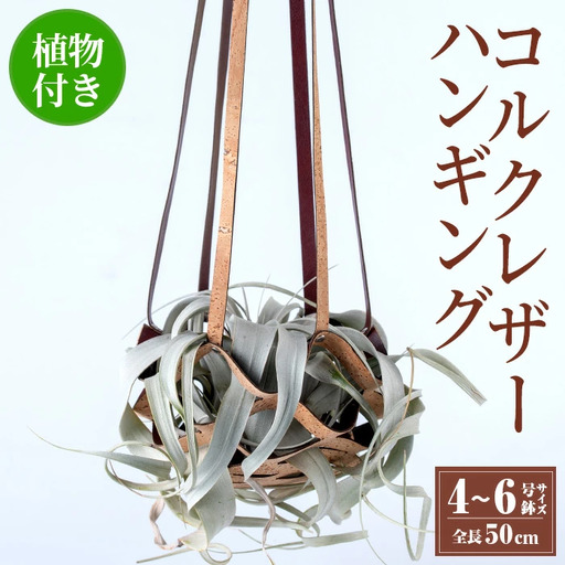 観葉植物 コルクレザー ハンギング (植物セット) 観葉植物 プラントハンガー 吊り下げ [kurk PLANT LEATHER]