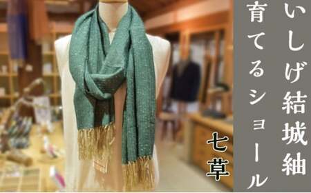 [いしげ結城紬]結城紬 育てるショール 七草
