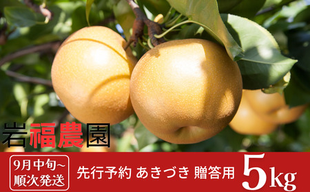 先行予約 和梨 あきづき 5kg [9月中旬~順次発送予定] 新潟県産 あきづき 梨 あきづき [岩福農園]