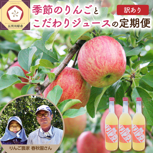 訳ありりんごとりんごジュースの定期便4回[2026年9月発送開始] りんご りんごジュース 定期便