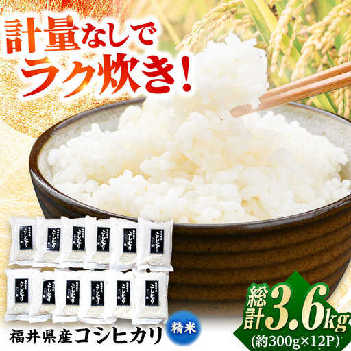 【令和7年産】福井県産こしひかり 300g(約2合) × 12パック / 米 精米 お米 小浜市 / シマダ農園 [BFAV002]