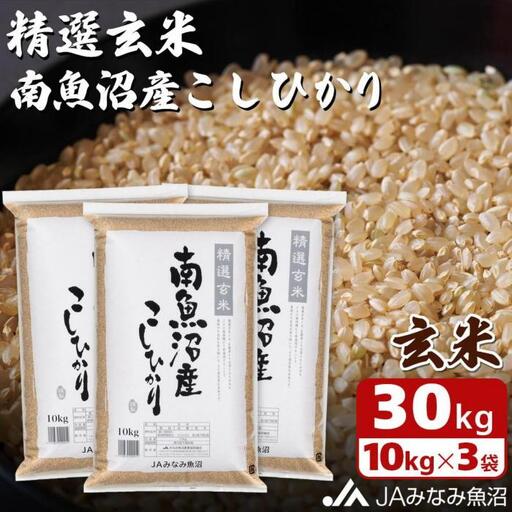 【令和8年＼新米／】南魚沼産こしひかり 精選玄米 30kg（10kg×3袋） ｜玄米