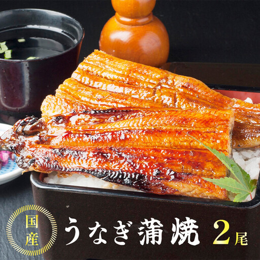 国産うなぎ蒲焼 400g（200g×2尾） 有頭うなぎ蒲焼