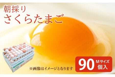 卵 朝採り さくら たまご 90個(Mサイズ)卵 10個破損補償含む 鶏卵 赤鶏の卵