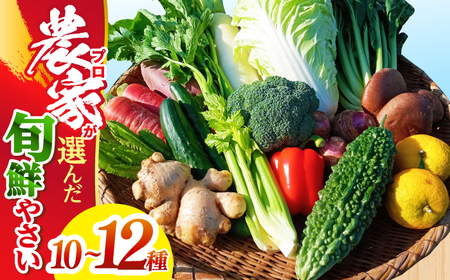[訳あり]高知県産 土佐季節の野菜詰め合せセット /野菜セット 野菜詰め合わせ 野菜詰合せ やさい [香稜苑] [ATBQ001] 訳あり 不揃い 規格外 支援 支援品