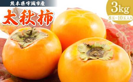 [先行予約] 太秋柿 約3kg フレッシュダイレクト[2026年10月下旬〜11月中旬発送予定]