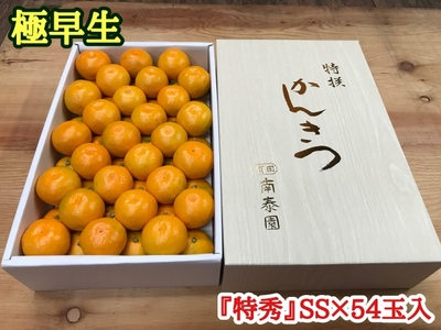 極早生・有田みかん 化粧箱 約3kg『特秀』SSサイズ54玉入_ZF6003n