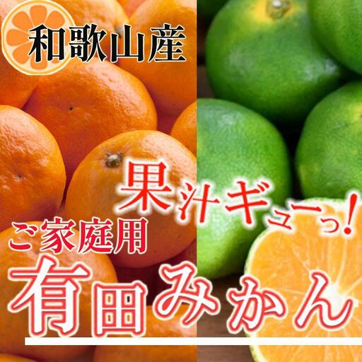 ［先行予約］家庭用 有田みかん2.5kg+250g（傷み補償分）［2026年10月初旬から2027年1月末日頃順次発送予定］［IKE248］