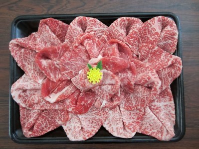 DV020_佐賀県産黒毛和牛花盛り500ｇ