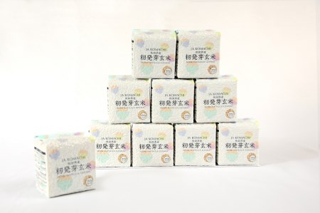 【令和7年産米】秋田県産籾発芽玄米　真空キューブ米セット 籾発芽玄米 米 キューブ 【こまち農業協同組合】[H2-25002]