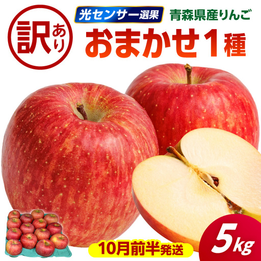 [2026年10月前半発送]りんご[訳あり]約5kg 品種おまかせ1種 りんご