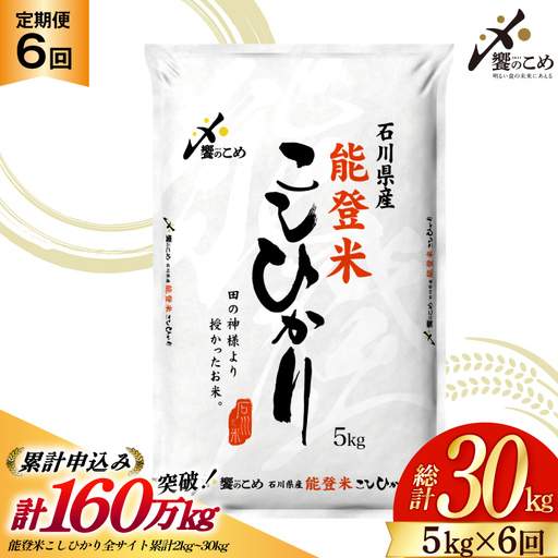 【6回 定期便】 能登米 こしひかり 5kg 精米 白米