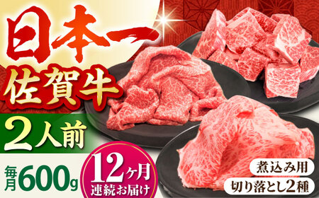 【全12回定期便】おふたりさま向け佐賀牛普段使いセットA HBH069 