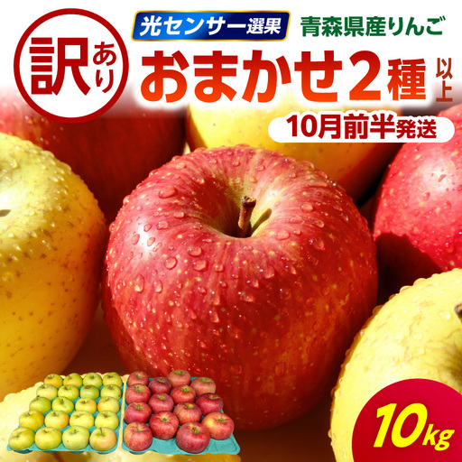 [2026年10月前半発送] りんご[訳あり]約10kg 品種おまかせ2種以上 りんご